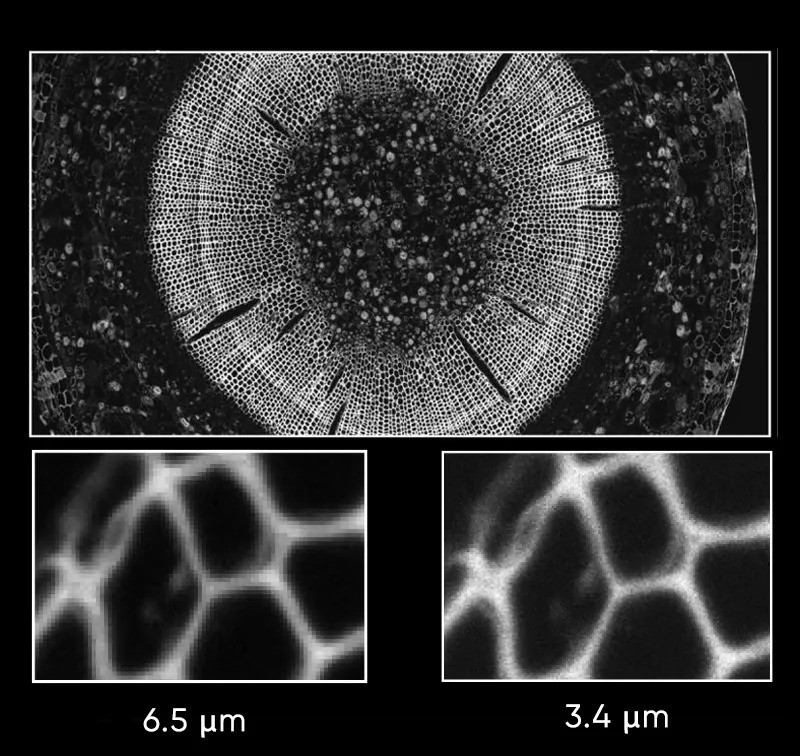Image Resolution Comparison (6.5 μm vs. 3.4 μm)